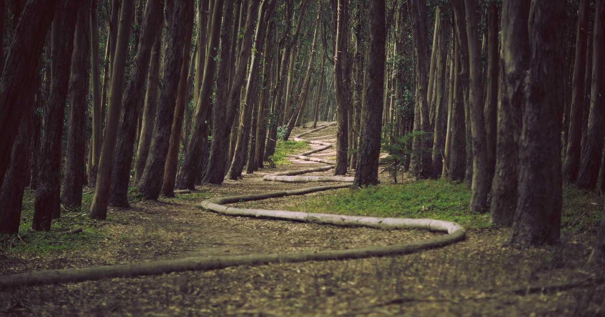 Guide débutant e-commerce 2025