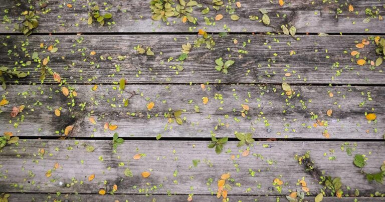 Dropshipping guide complet 2025