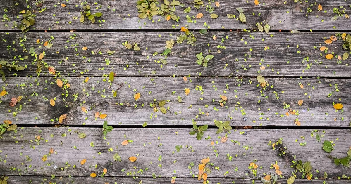 Dropshipping guide complet 2025