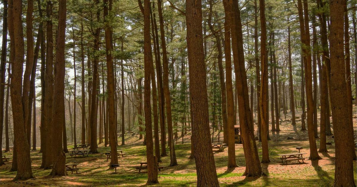 Email marketing e-commerce stratégie boutique en ligne