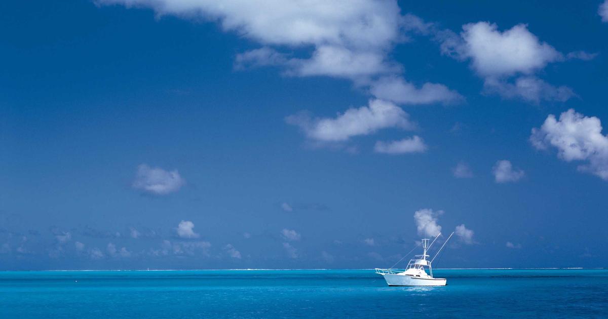 Comparatif Shopify vs WooCommerce